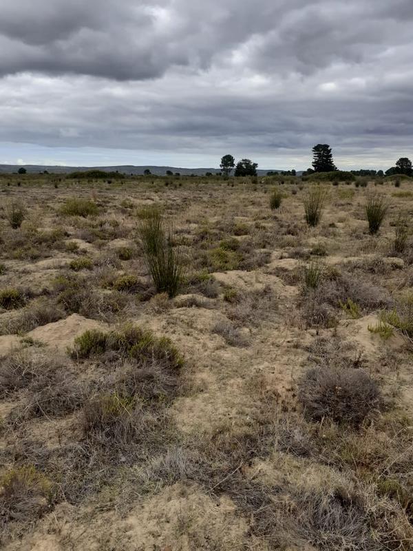 1 Bedroom Property for Sale in Riversdale Western Cape